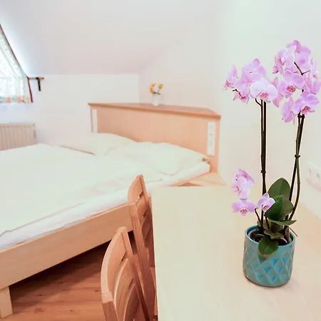 בית הארחה Moasterhaus Trialpark Salzstiegl 3*